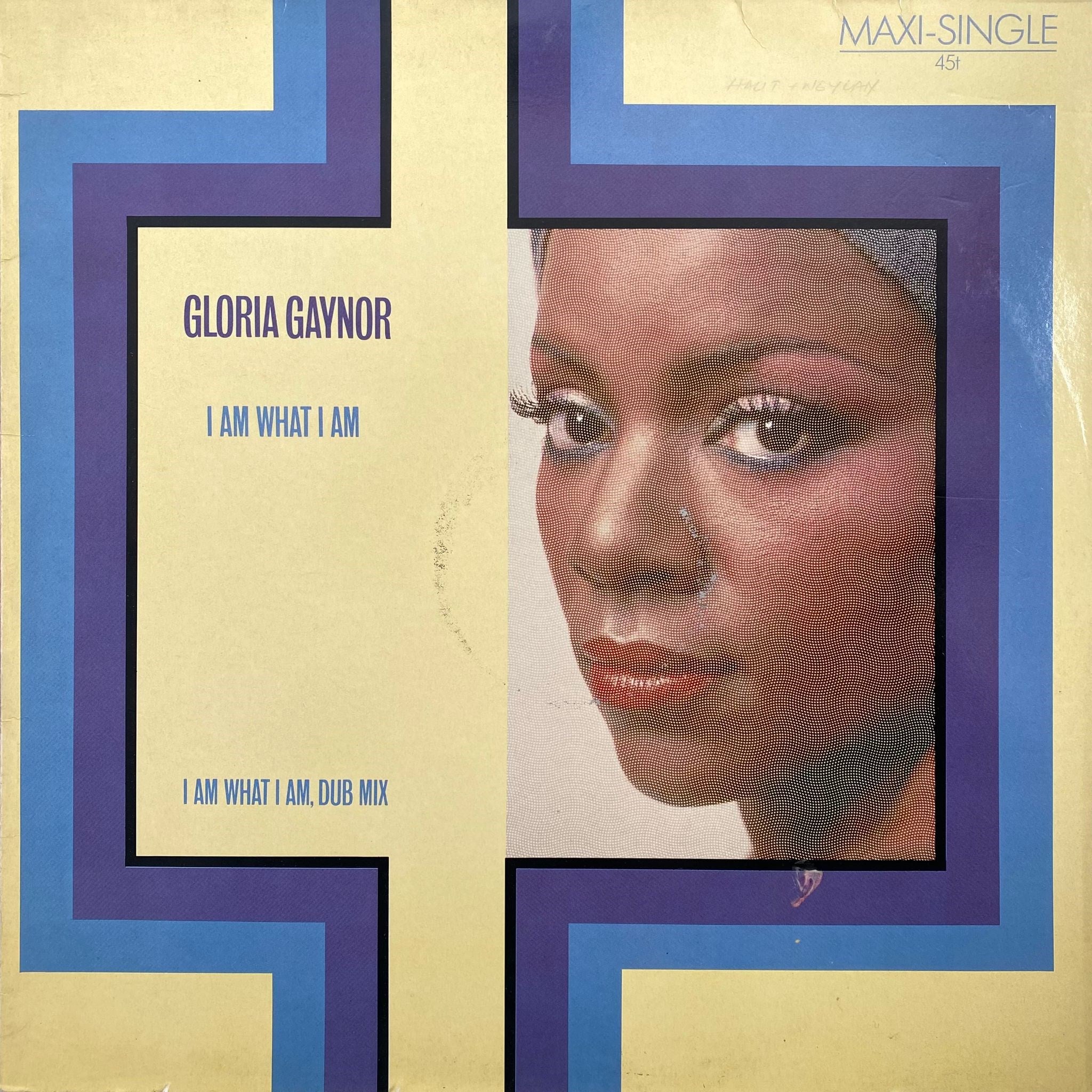 GLORIA GAYNOR - I AM WHAT I AM