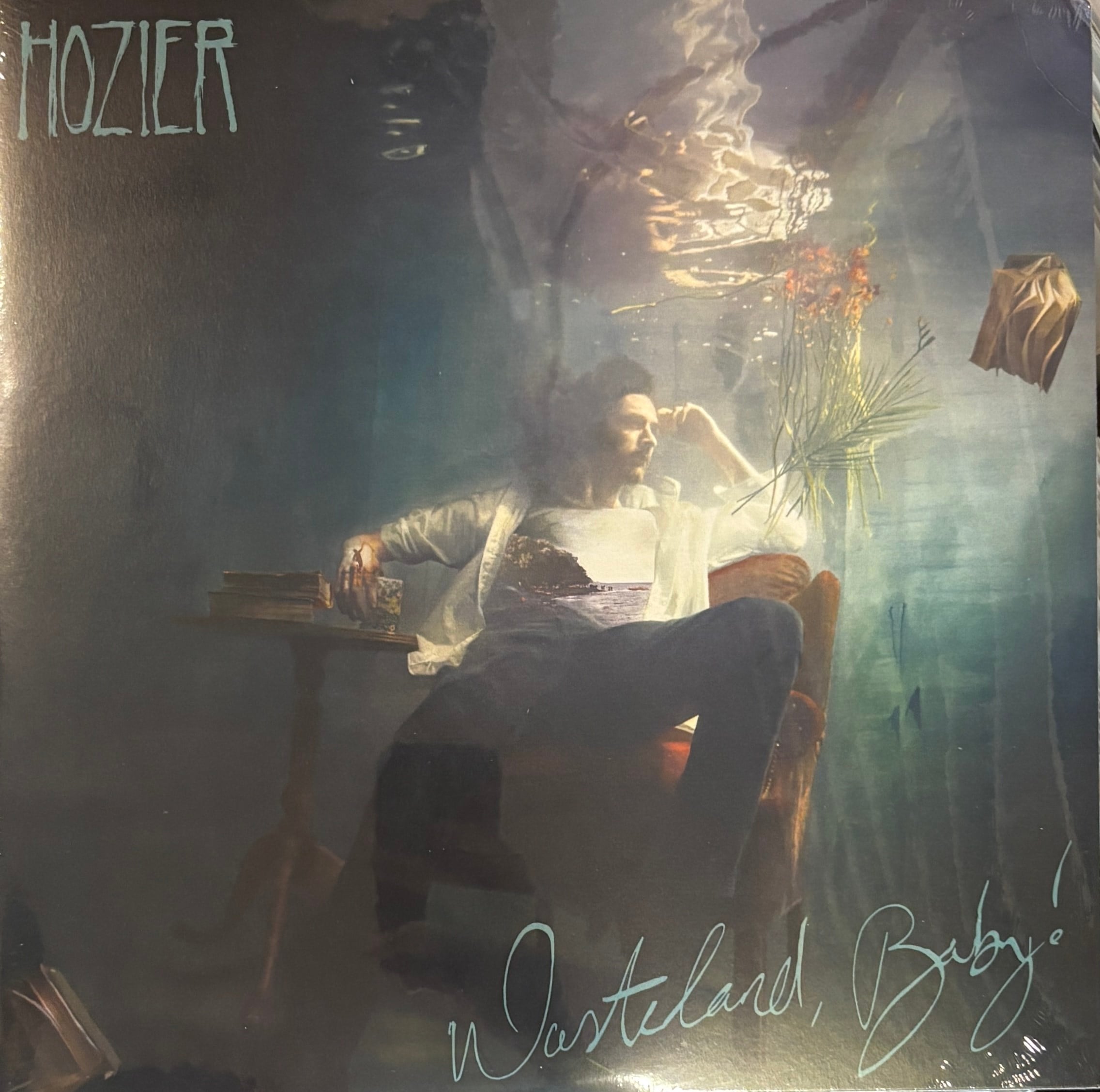 HOIZER - WASTELAND, BABY ! 