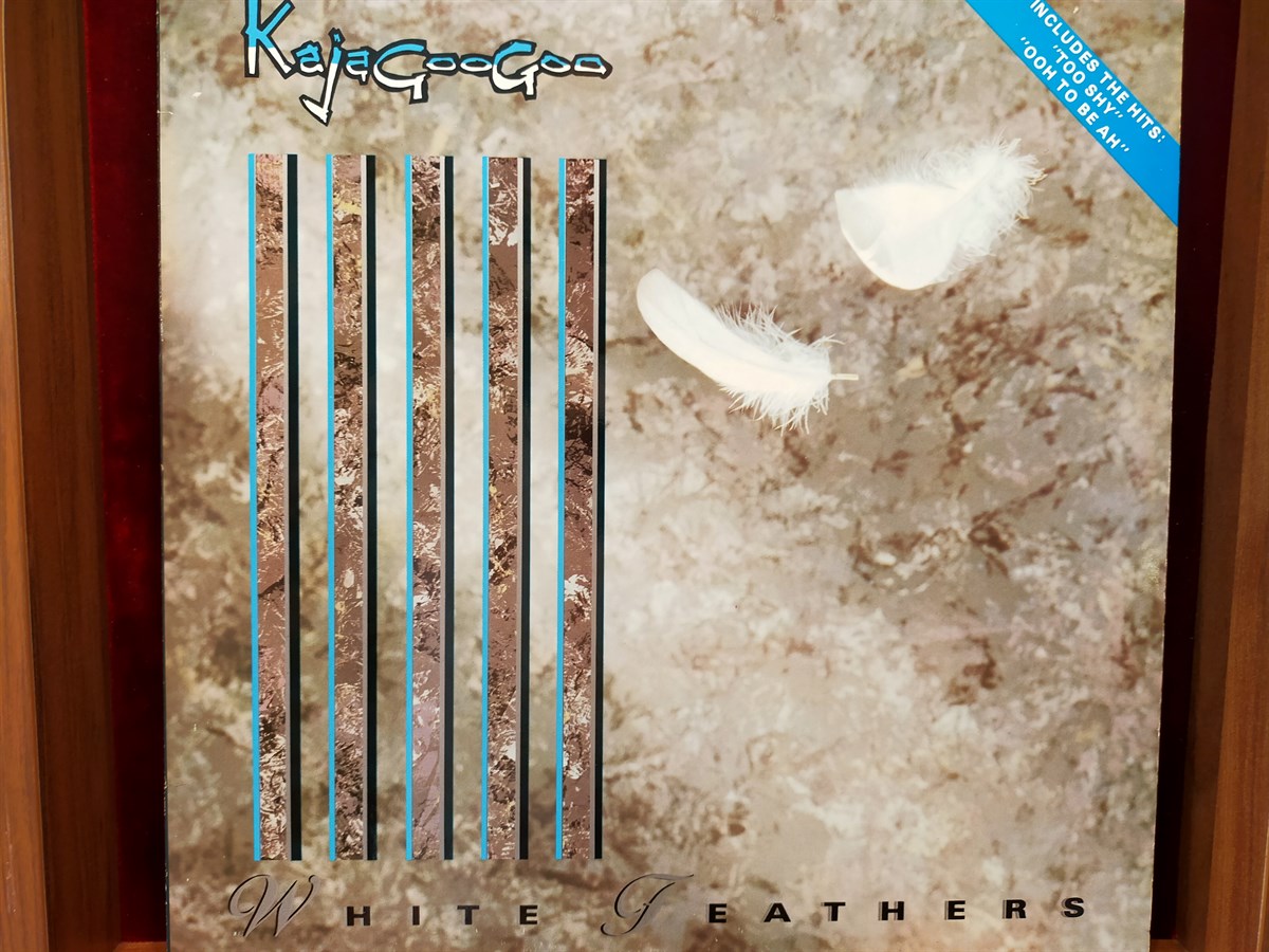 KAJAGOOGOO - WHITE FEATHERS