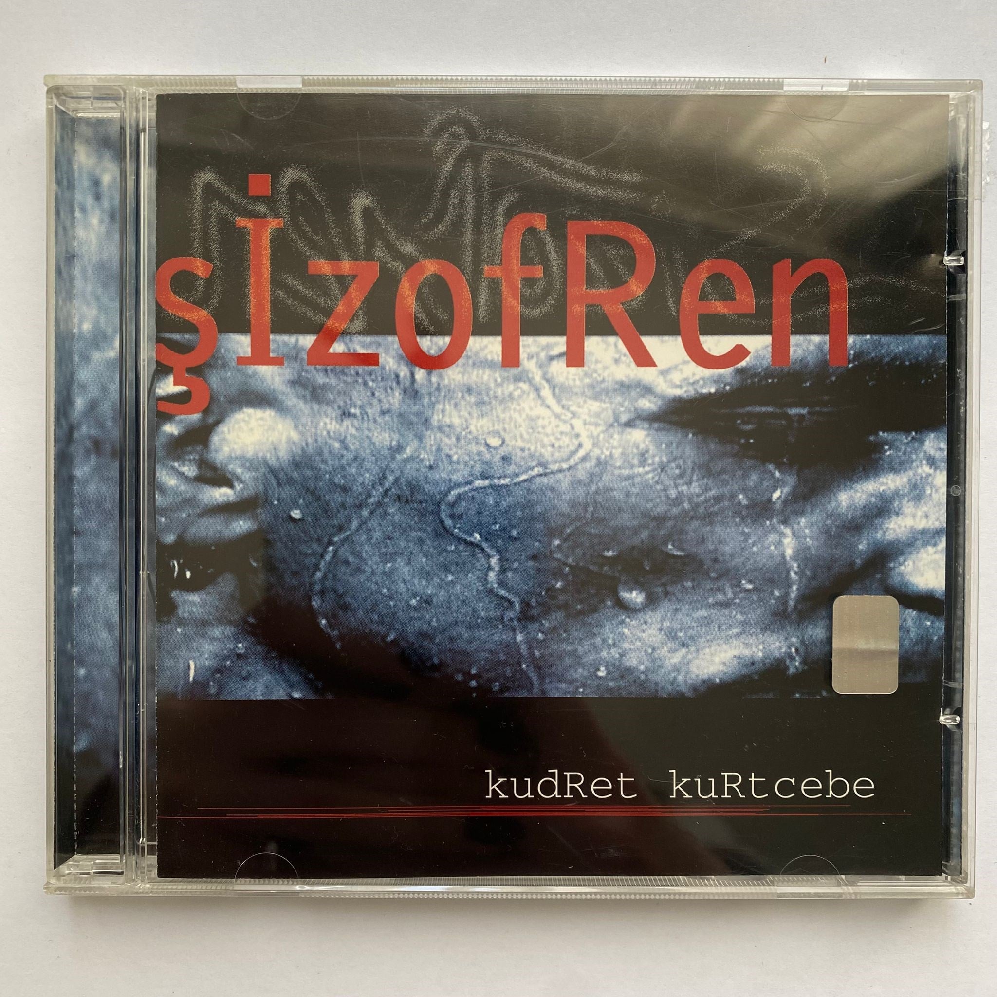KUDRET KURTCEBE - ŞİZOFREN