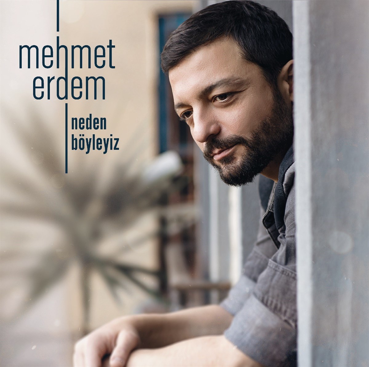 MEHMER ERDEM - NEDEN BÖYLEYİZ 