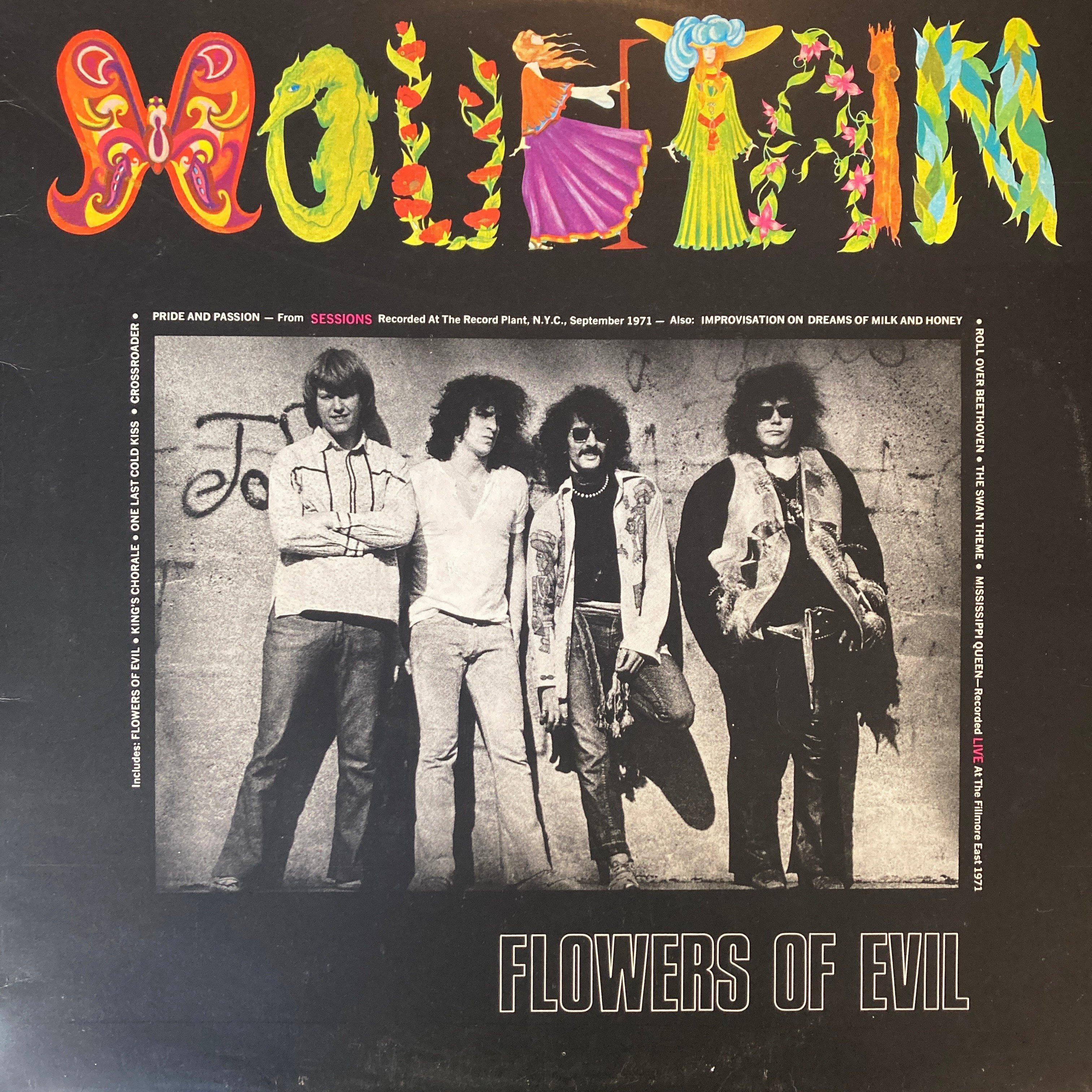 MOUNTAIN – FLOWERS OF EVIL