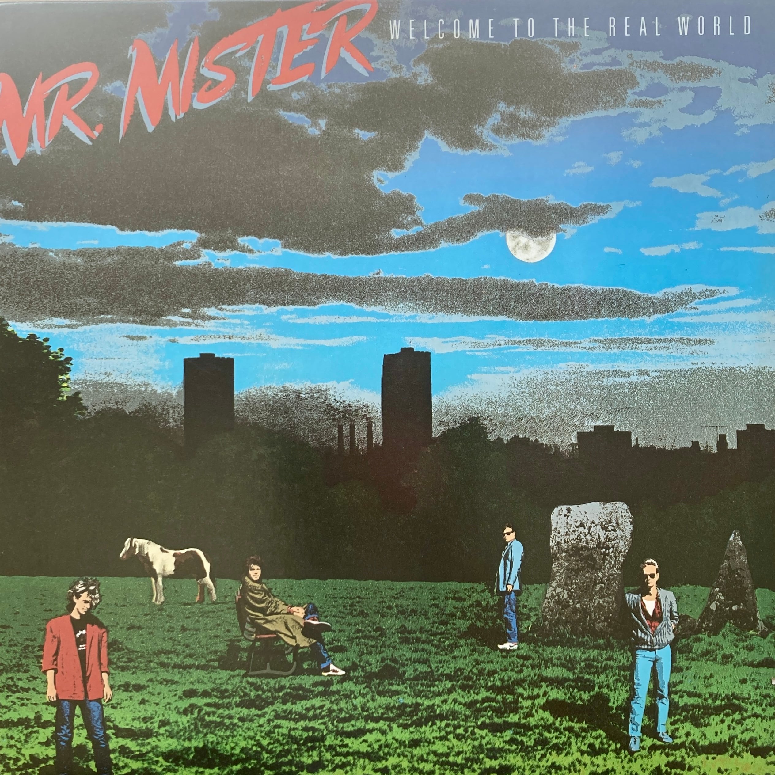 MR.MISTER - WELCOME TO THE REAL WORLD