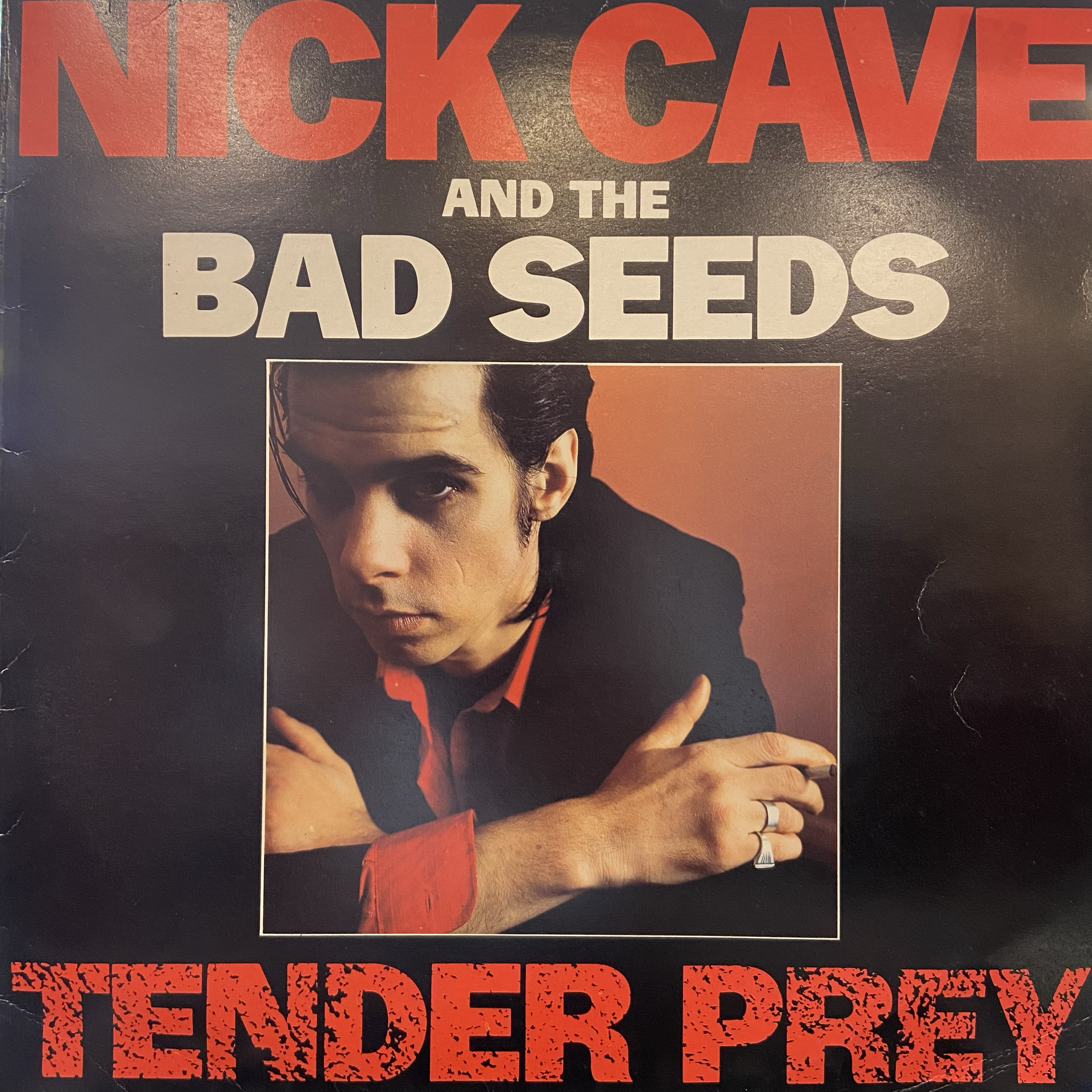 NICK CAVE AND THE BAD SEEDS - TENDER PREY 