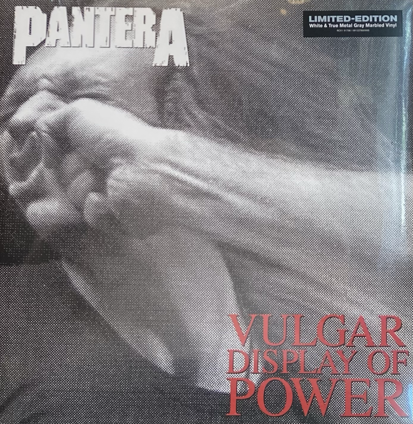 PANTERA - VULGAR DISPLAY OF POWER 