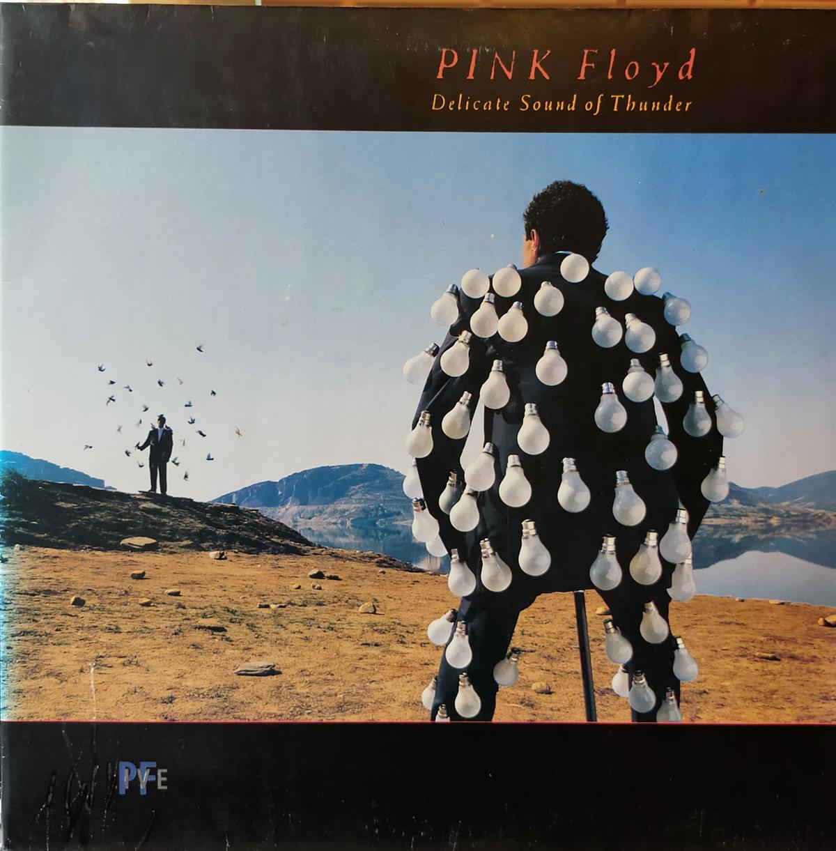 PINK FLOYD - DELICATE SOUND OF THUNDER
