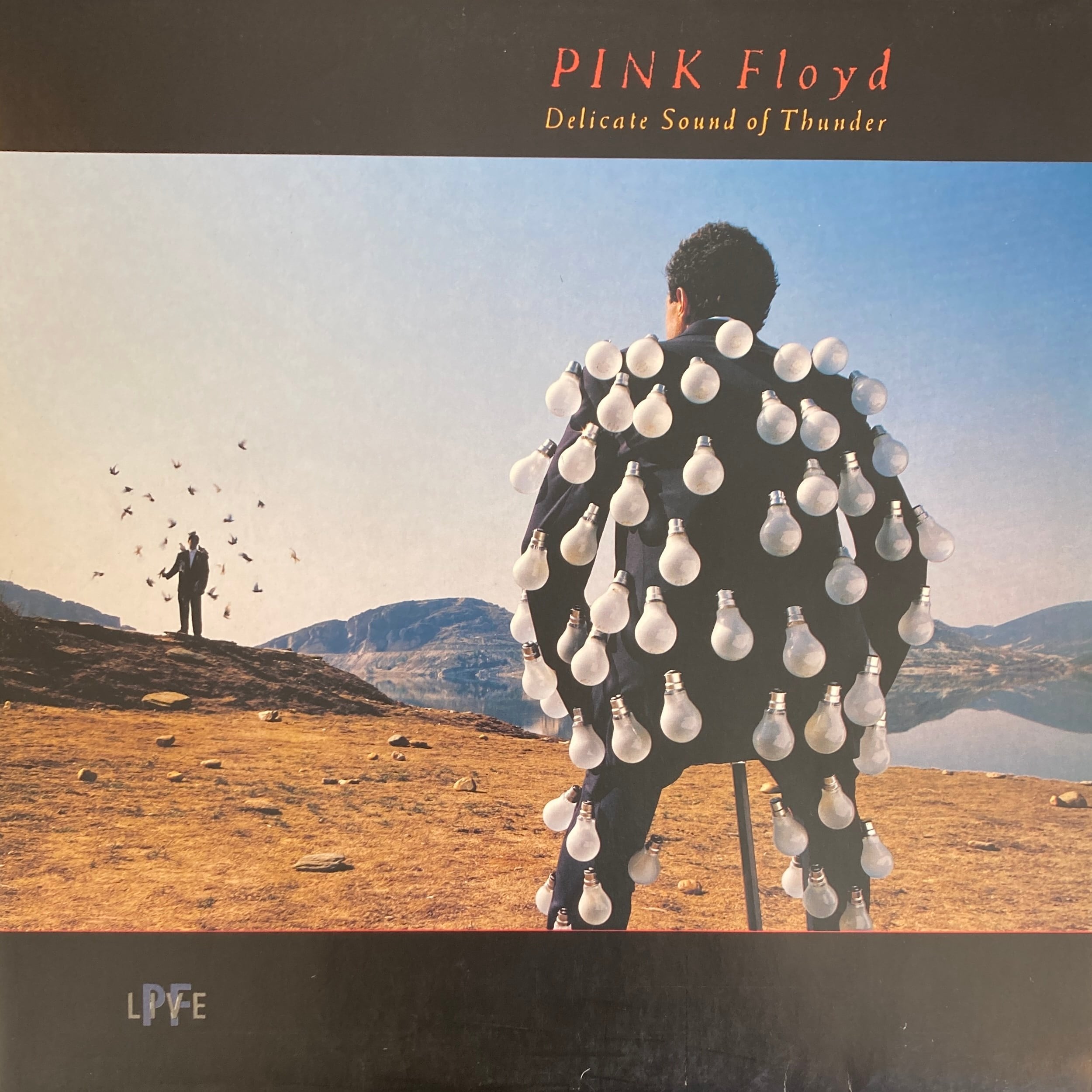 PINK FLOYD – DELICATE SOUND OF THUNDER