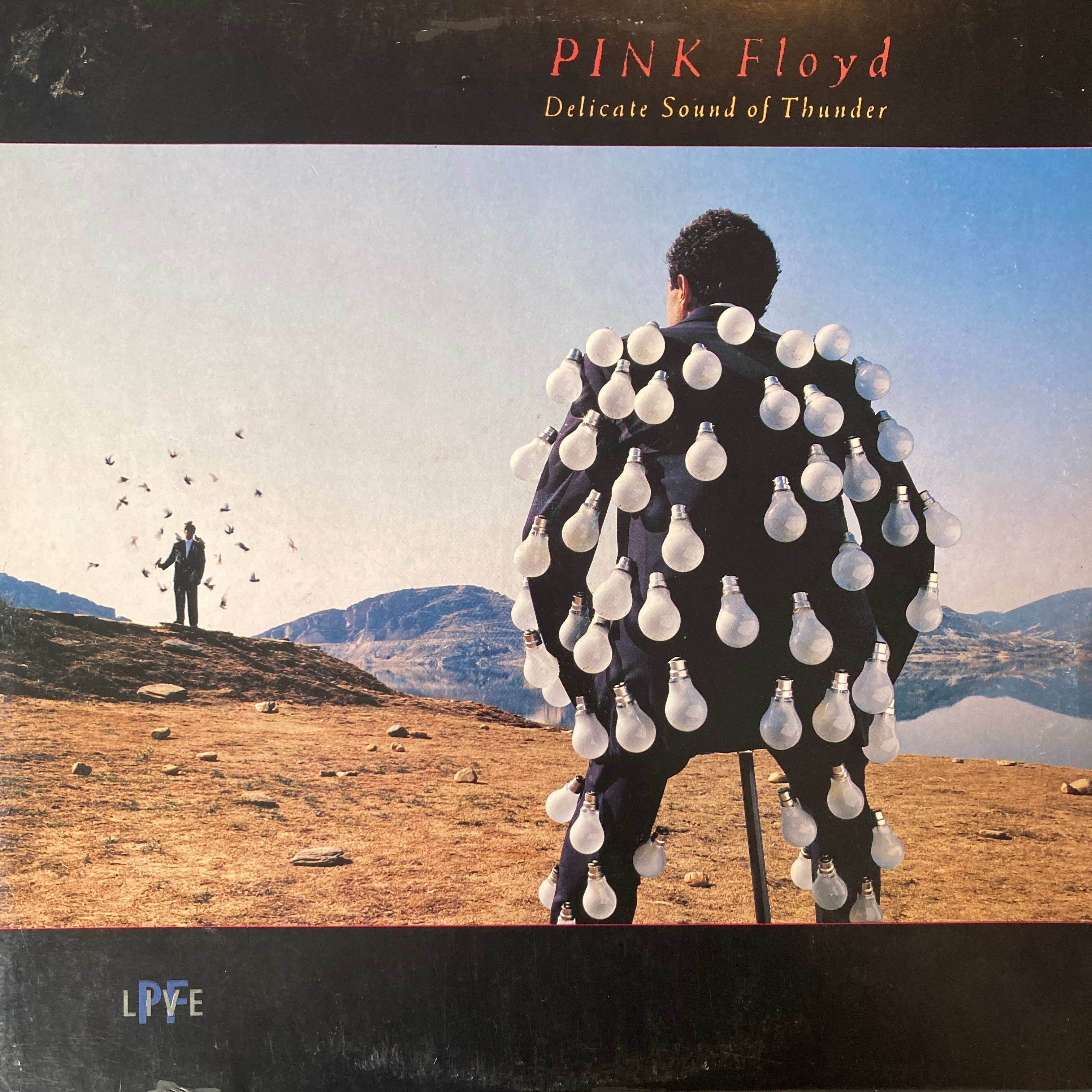 PINK FLOYD – DELICATE SOUND OF THUNDER