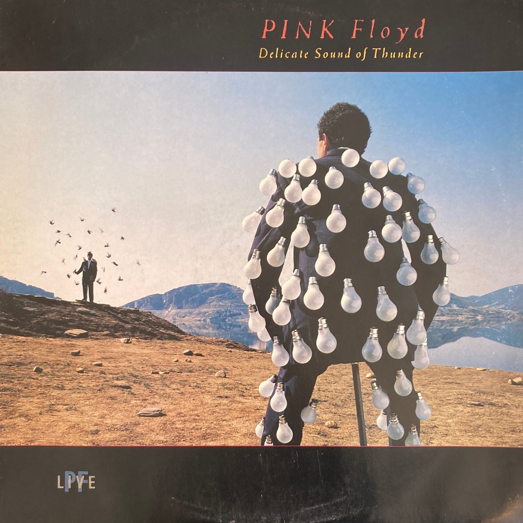 PINK FLOYD – DELICATE SOUND OF THUNDER