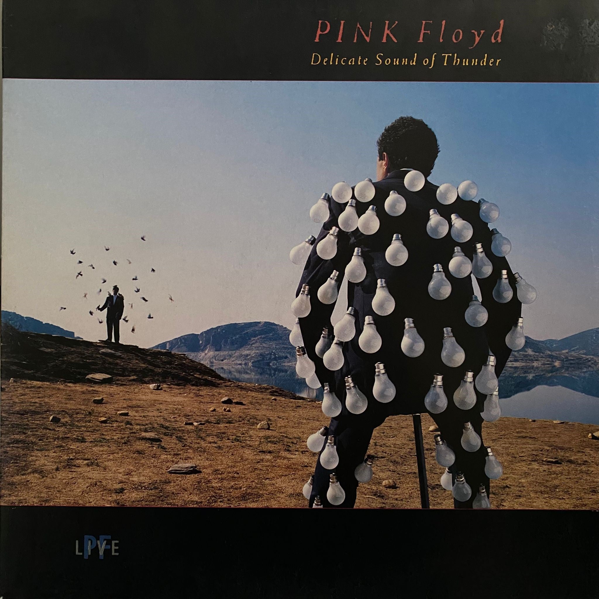 PINK FLOYD - DELICATE SOUND OF THUNDER (PF LIVE)