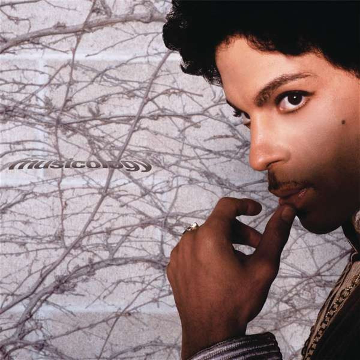 PRINCE - MUSICOLOGY 