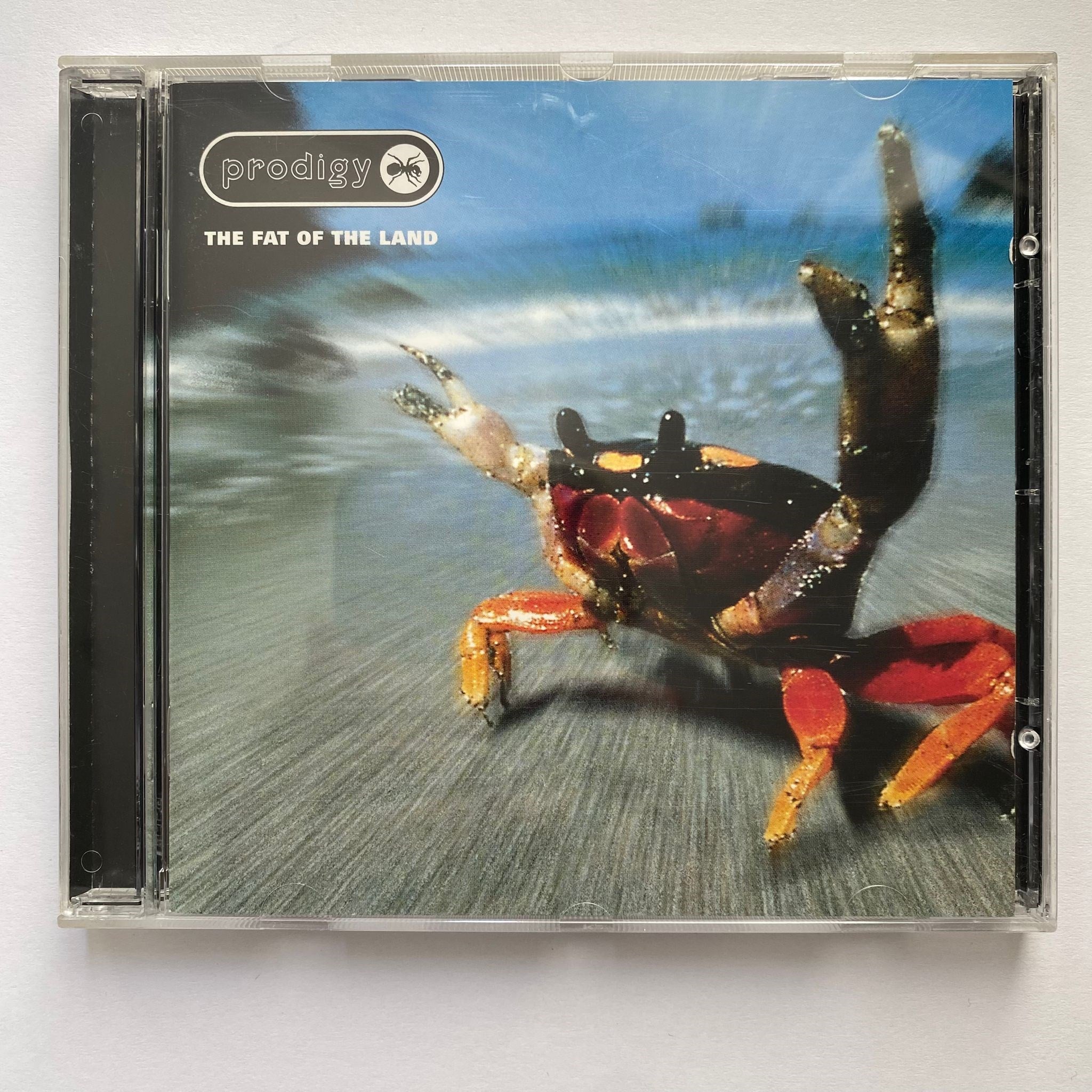 PRODIGY - THE FAT OF THE LAND