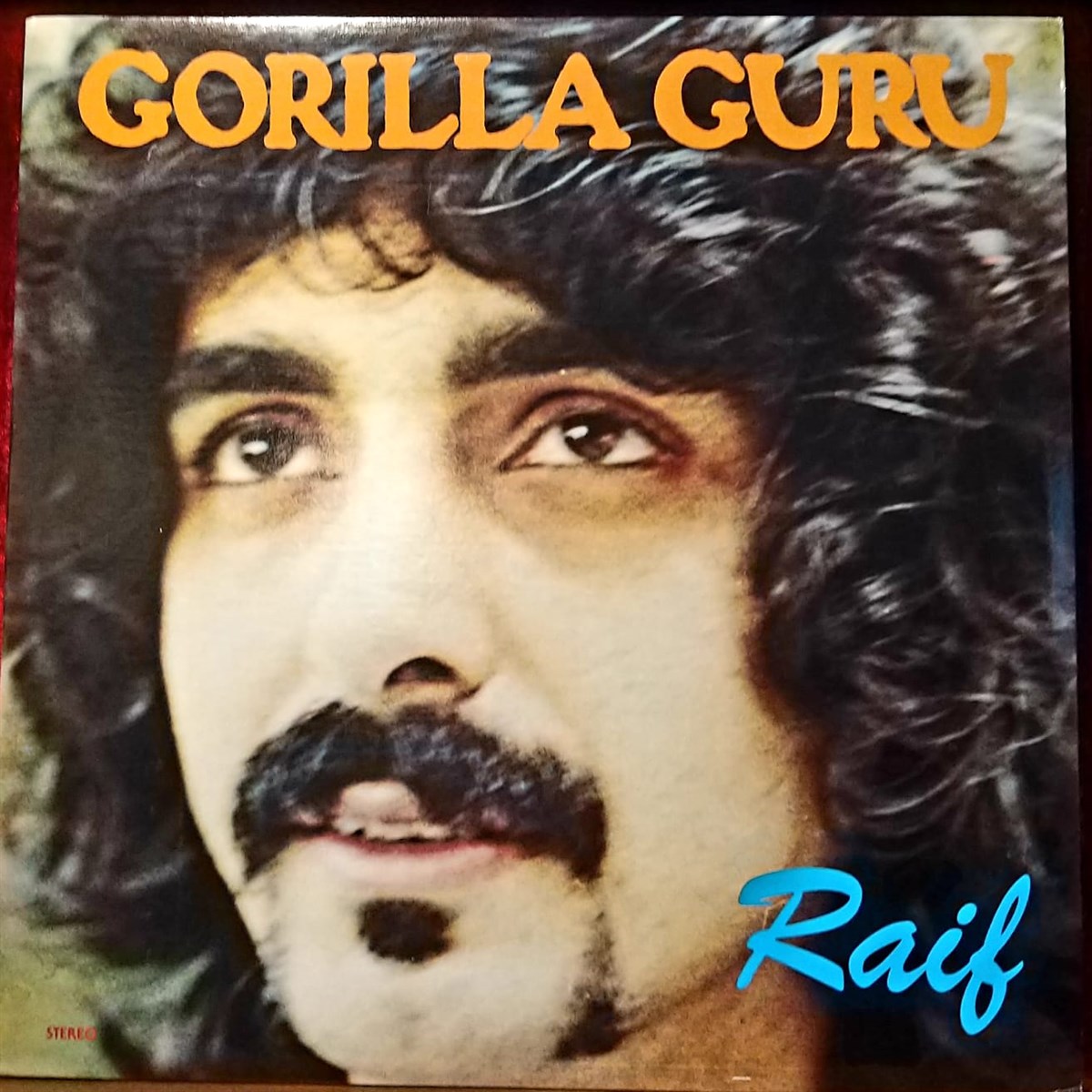 RAİF DENKTAŞ - GORILLA GURU