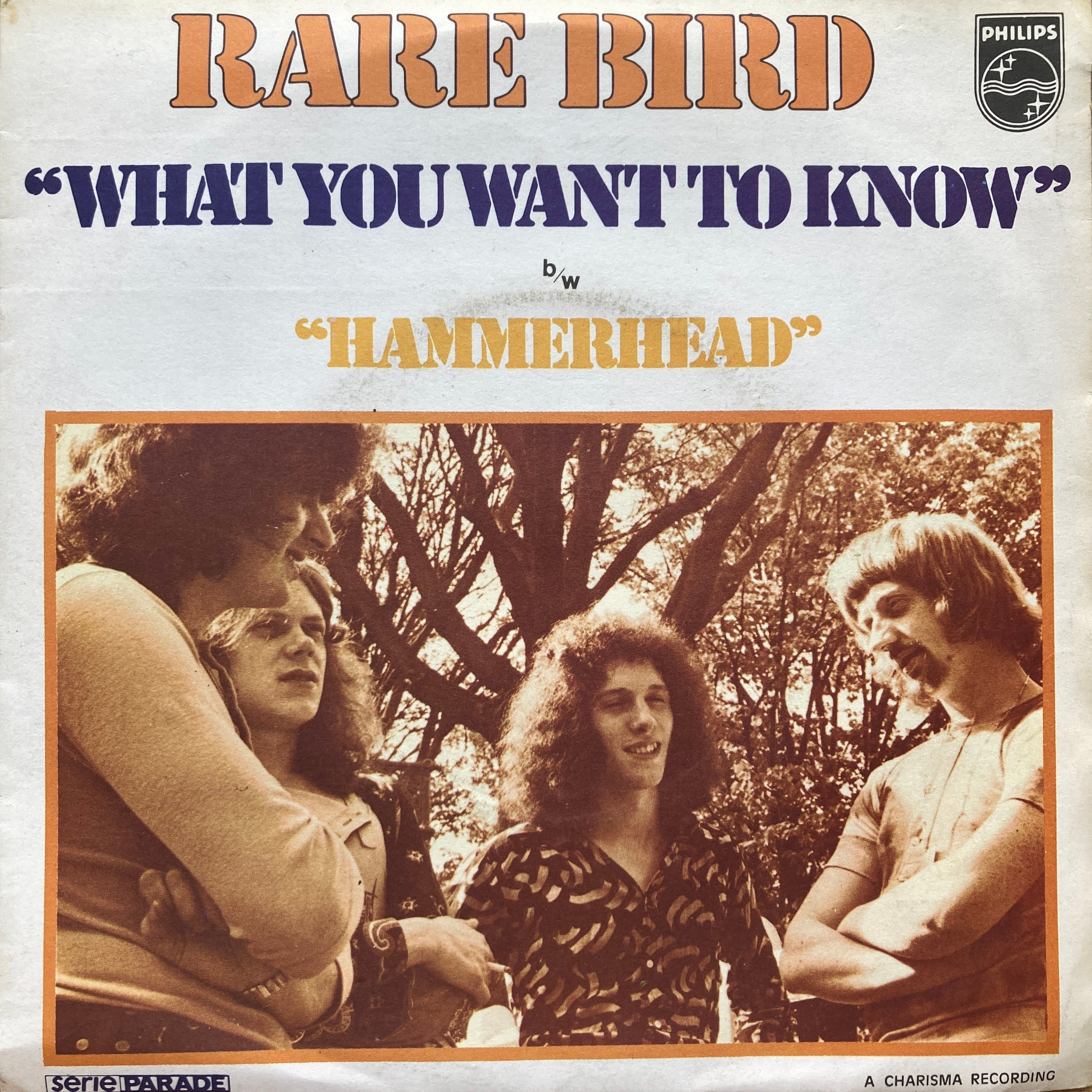 RARE BIRD – WHAT YOU WANT TO KNOW