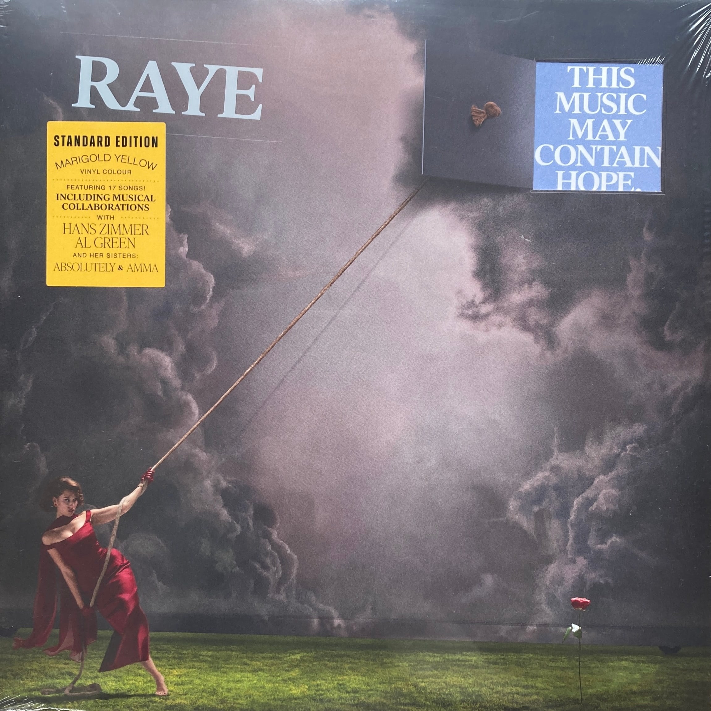 RAYE - THIS MUSIC MAY CONTAIN HOPE. 