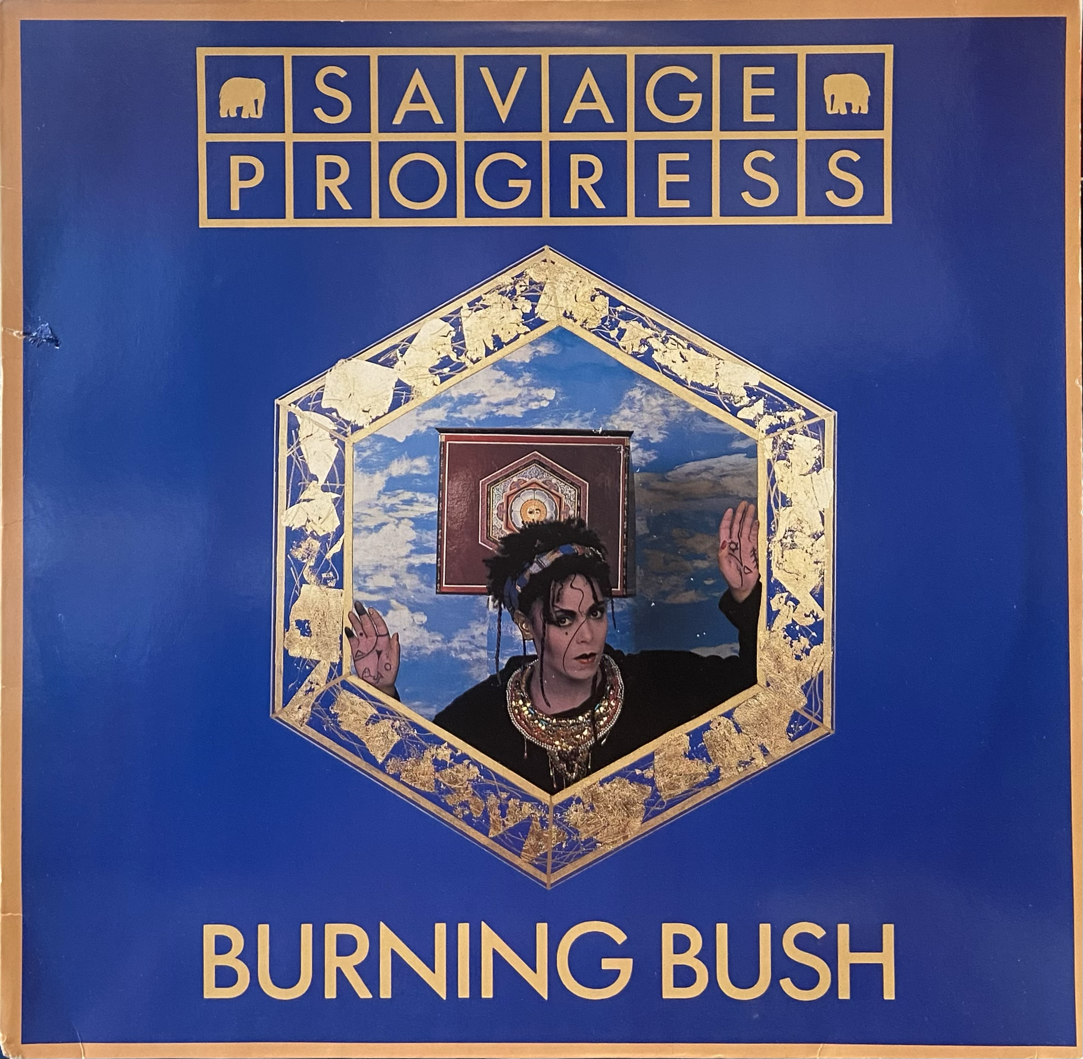 SAVAGE PROGRESS - BURNING BUSH 