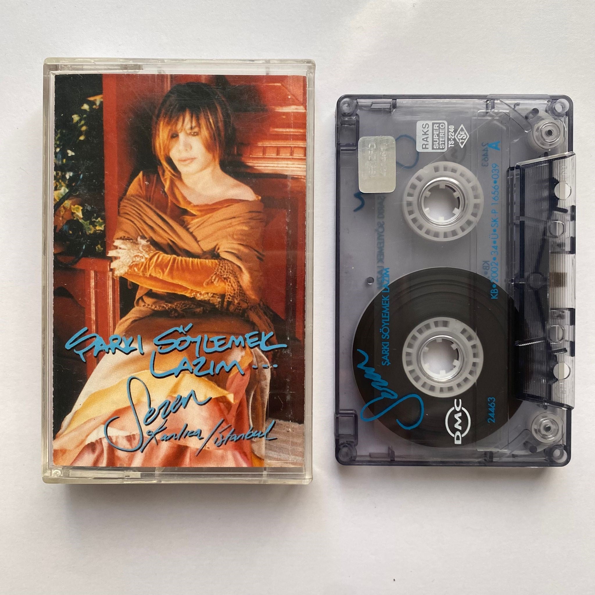 SEZEN AKSU - ŞARKI SÖYLEMEK LAZIM