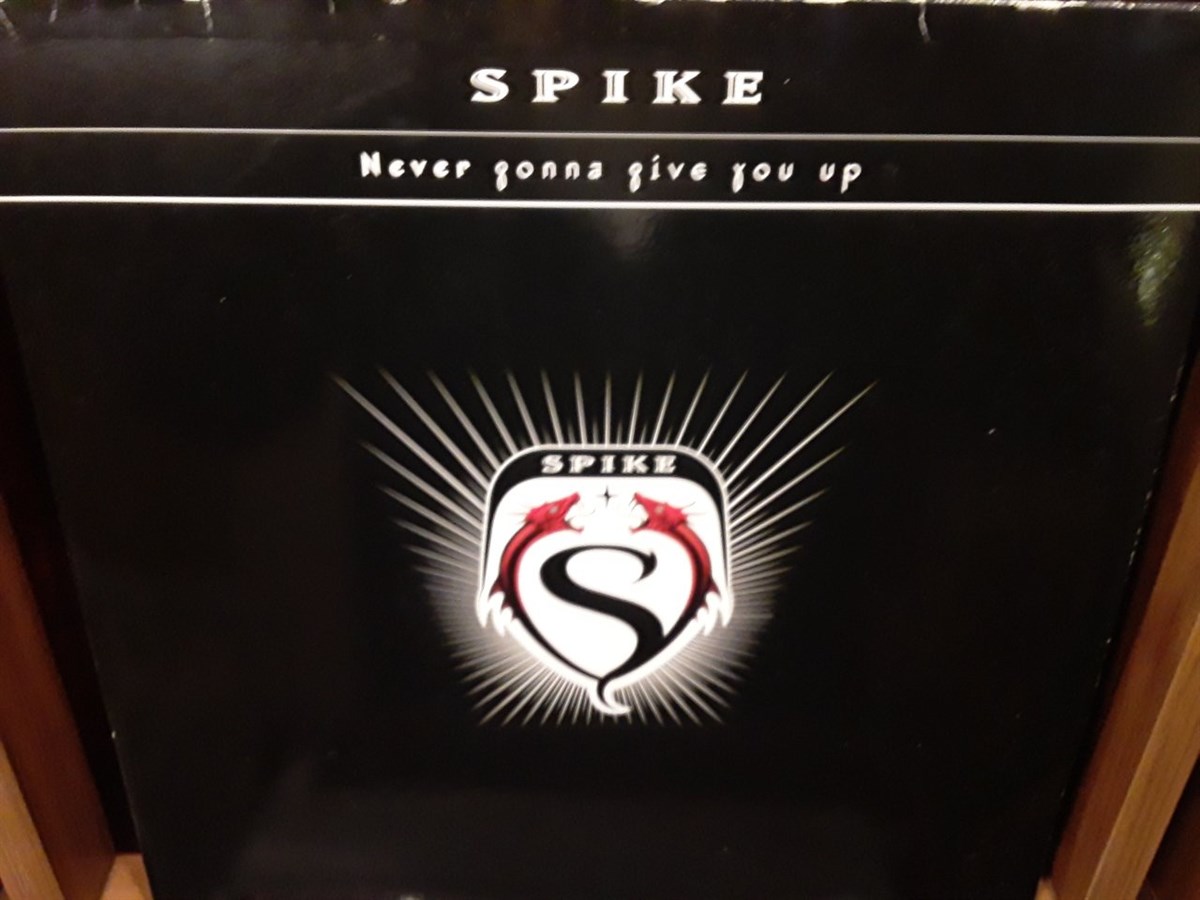 SPIKE - NEVER GONNA GIVE YOU UP