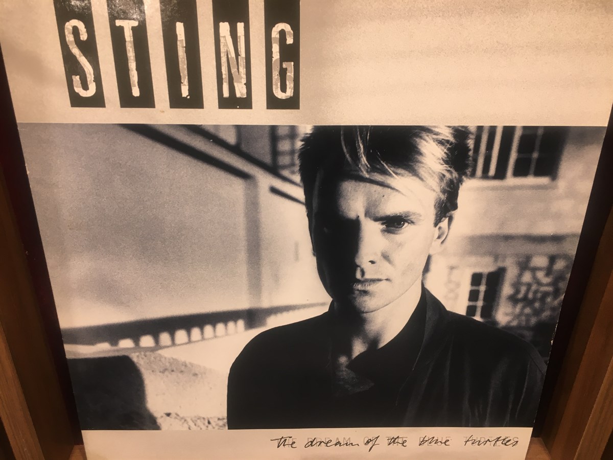 STING - THE DREAM OF THE BLUE TURTLES (İKİNCİ EL)