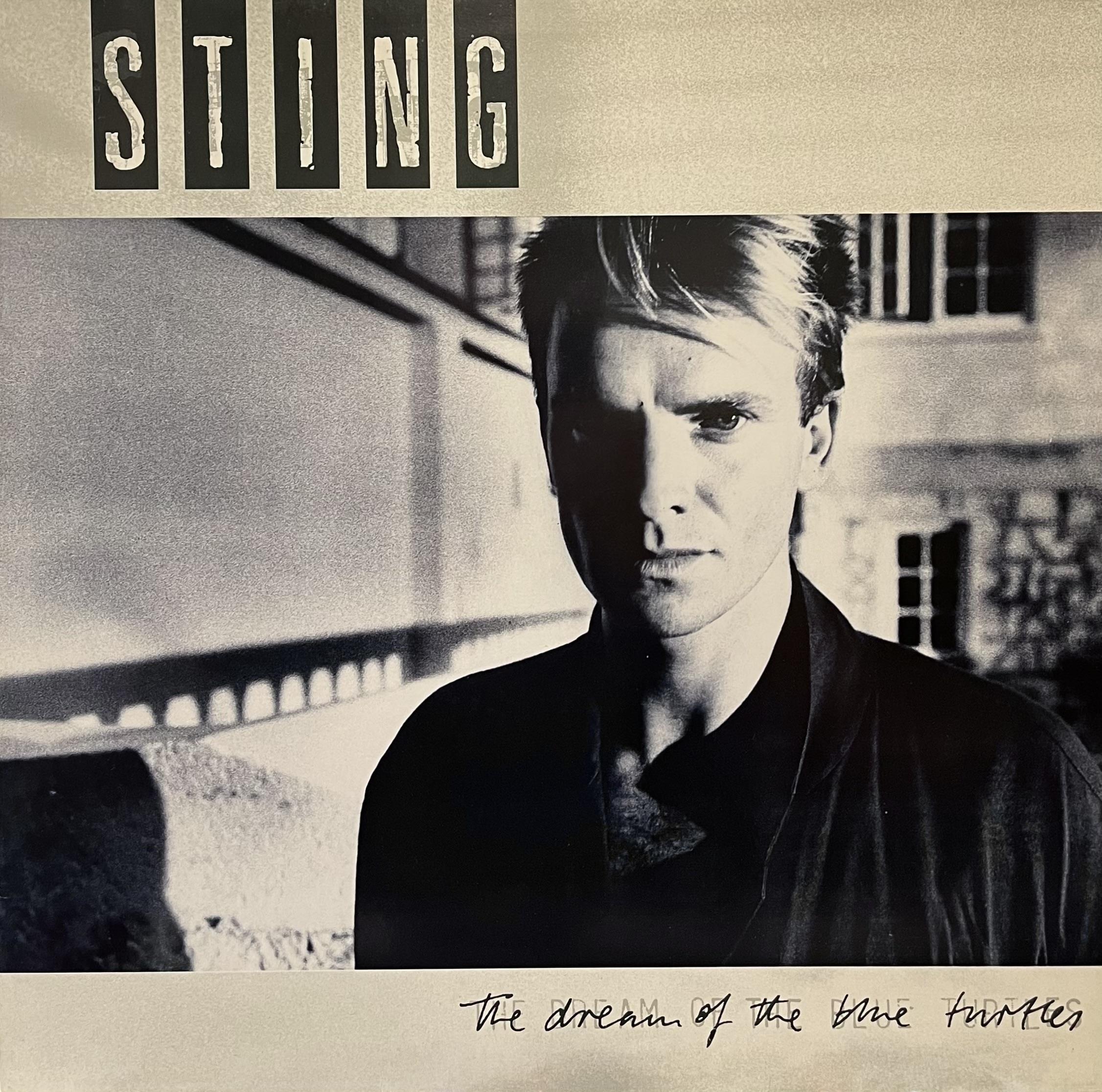 STING - THE DREAM OF THE BLUE TURTLES