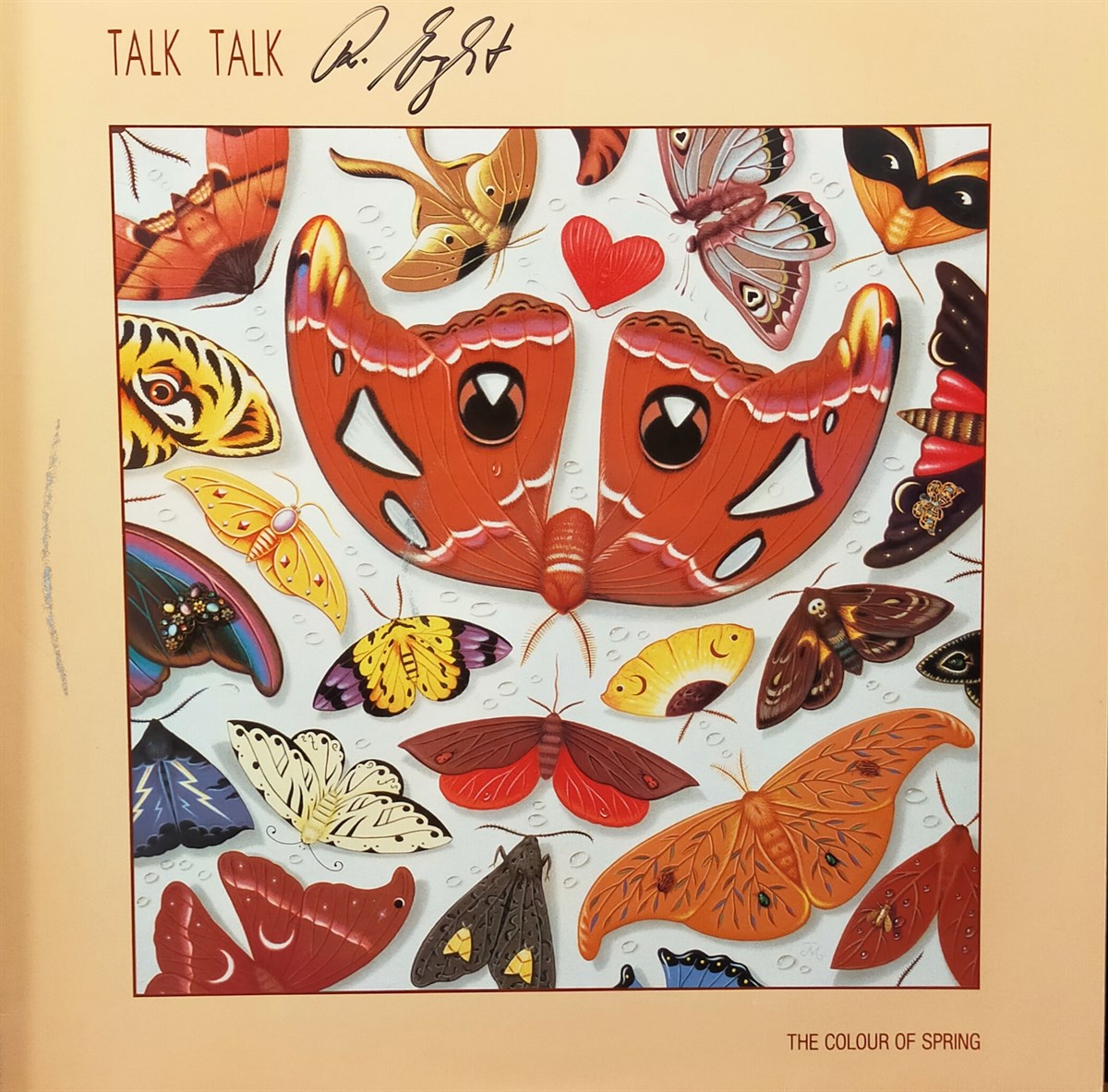 TALK TALK - THE COLOUR OF SPRING 