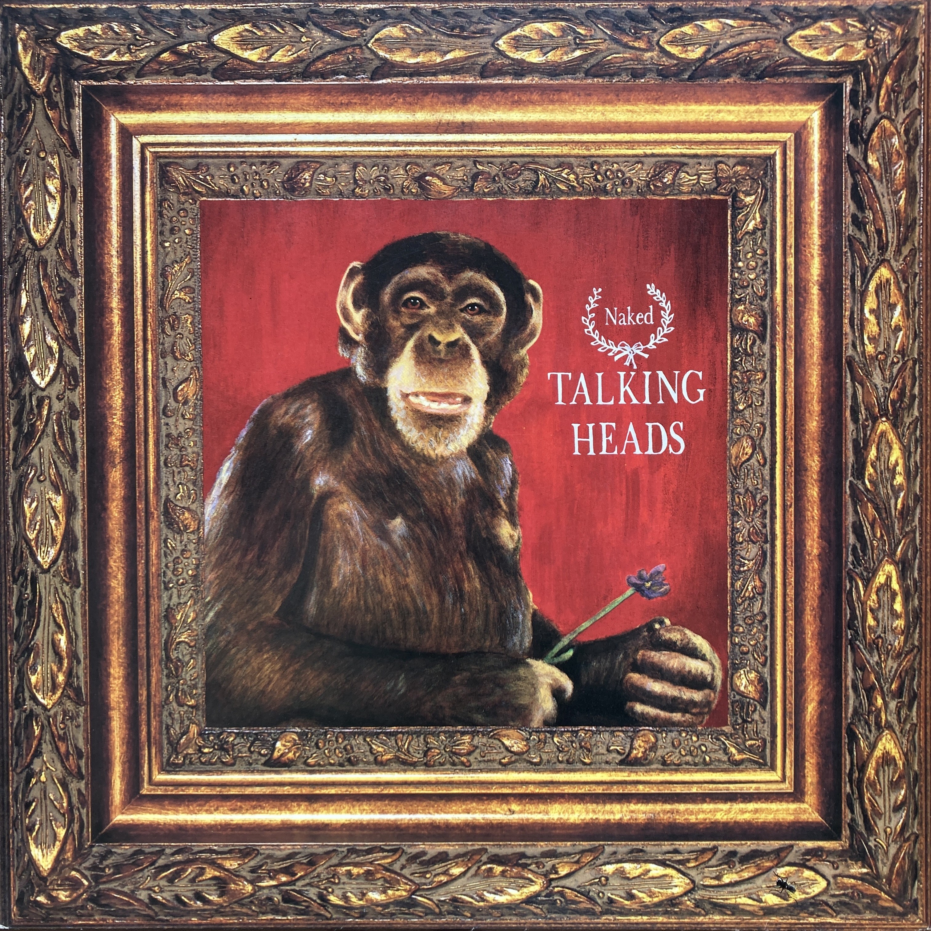 TALKING HEADS - NAKED