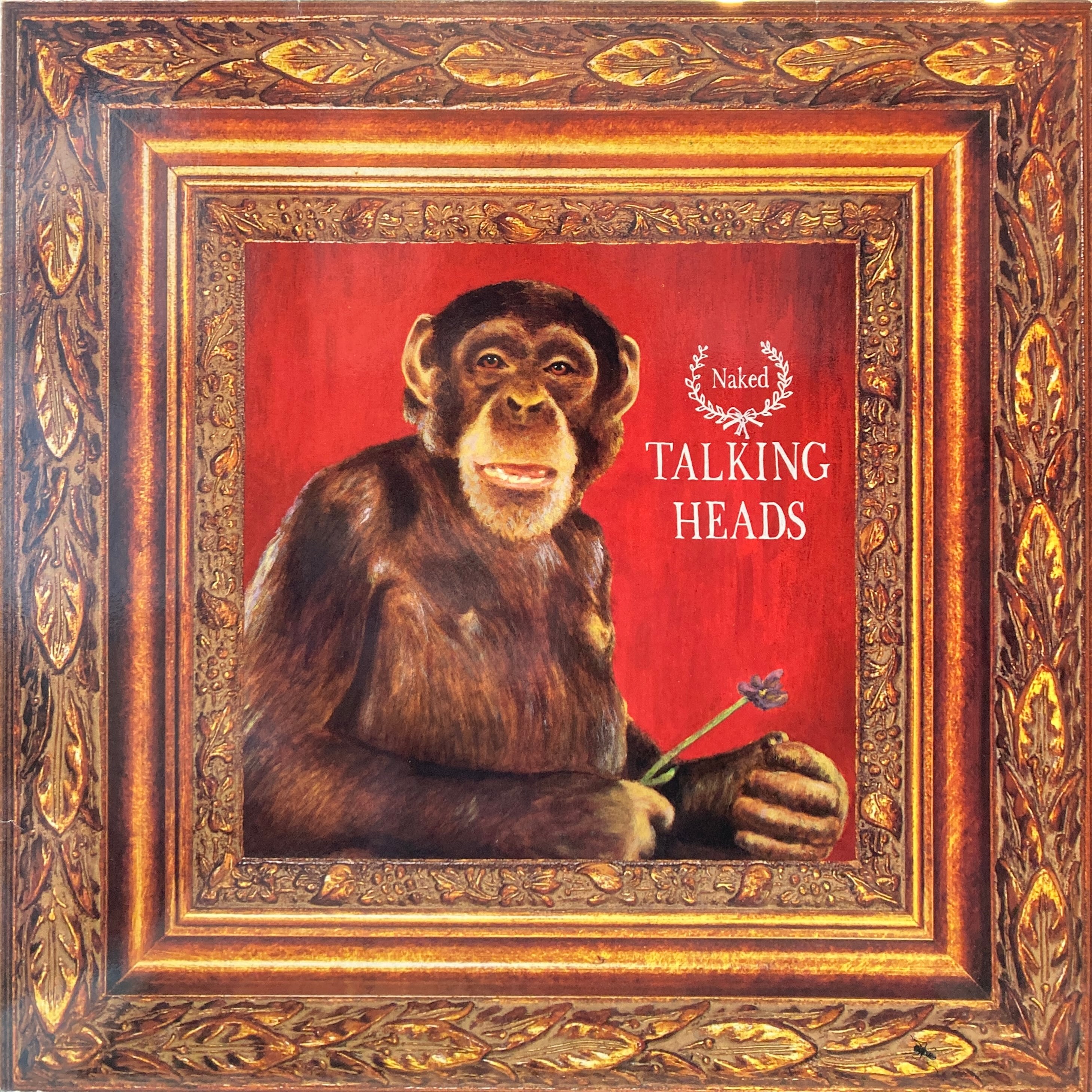 TALKING HEADS - NAKED