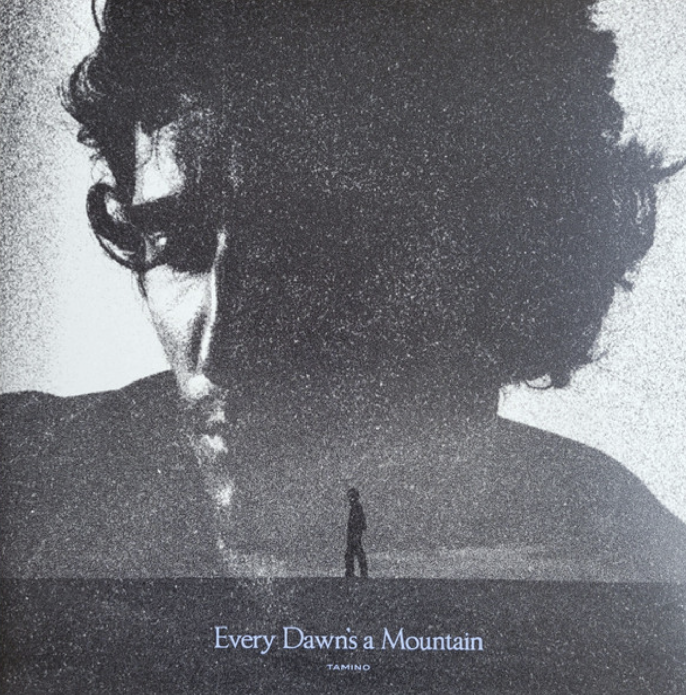 TAMINO – EVERY DAWN'S A MOUNTAIN