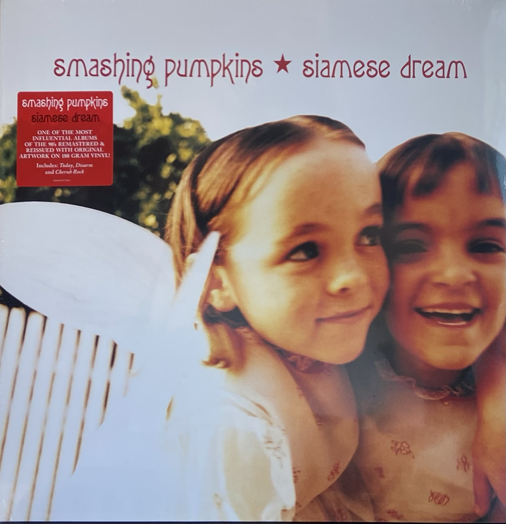 THE SMASHING PUMPKINS - SIAMESE DREAM 