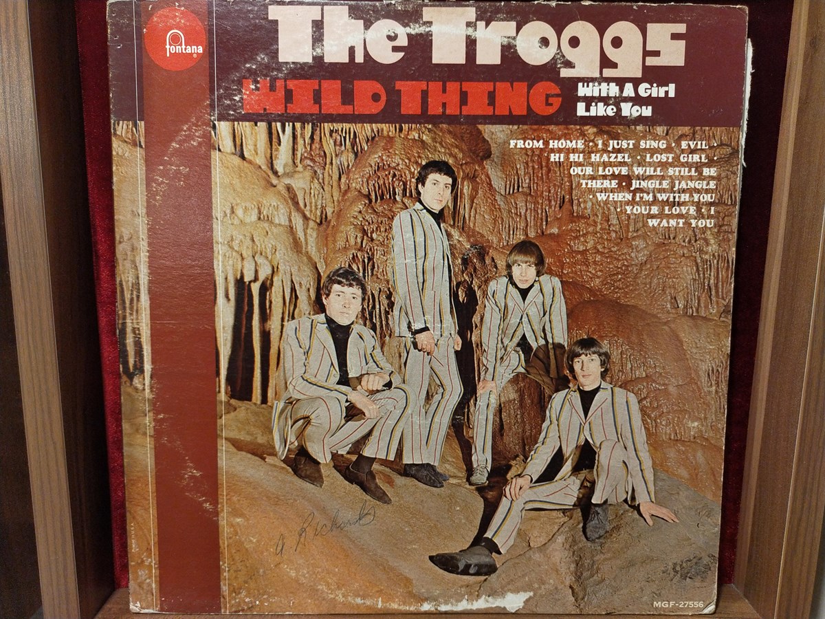 The Troggs ‎– Wild Thing