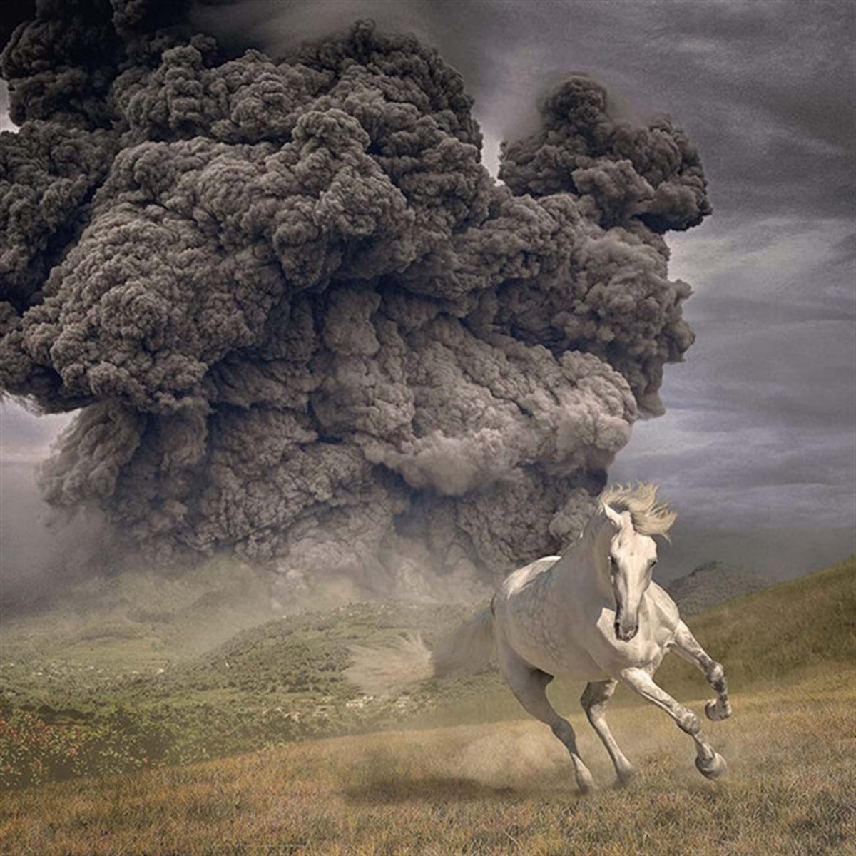 THE WHITE BUFFALO - YEAR OF THE DARK HORSE 