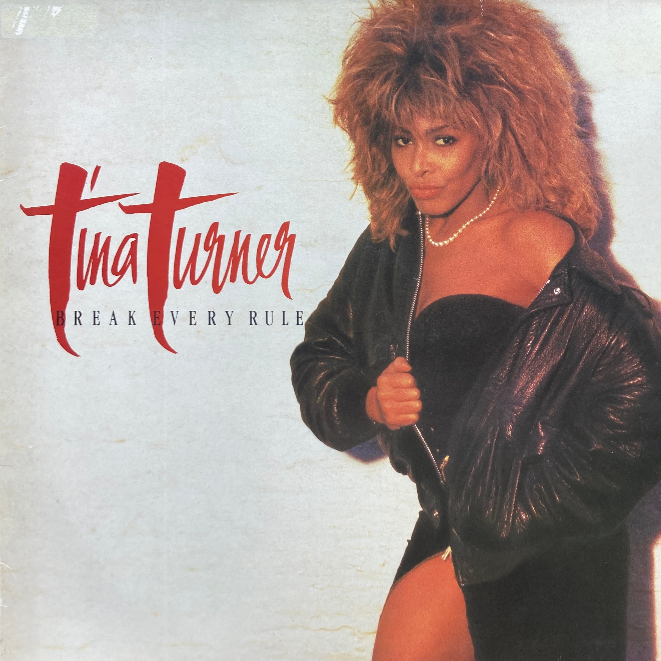 TINA TURNER - BREAK EVERY RULE