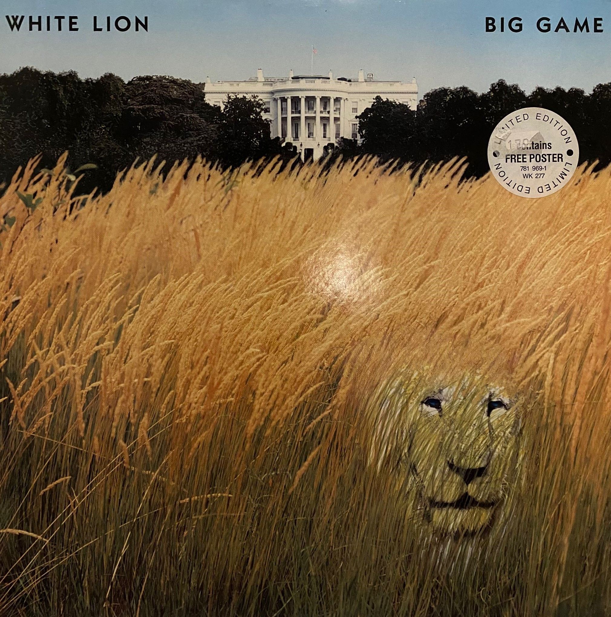 WHITE LION - BIG GAME