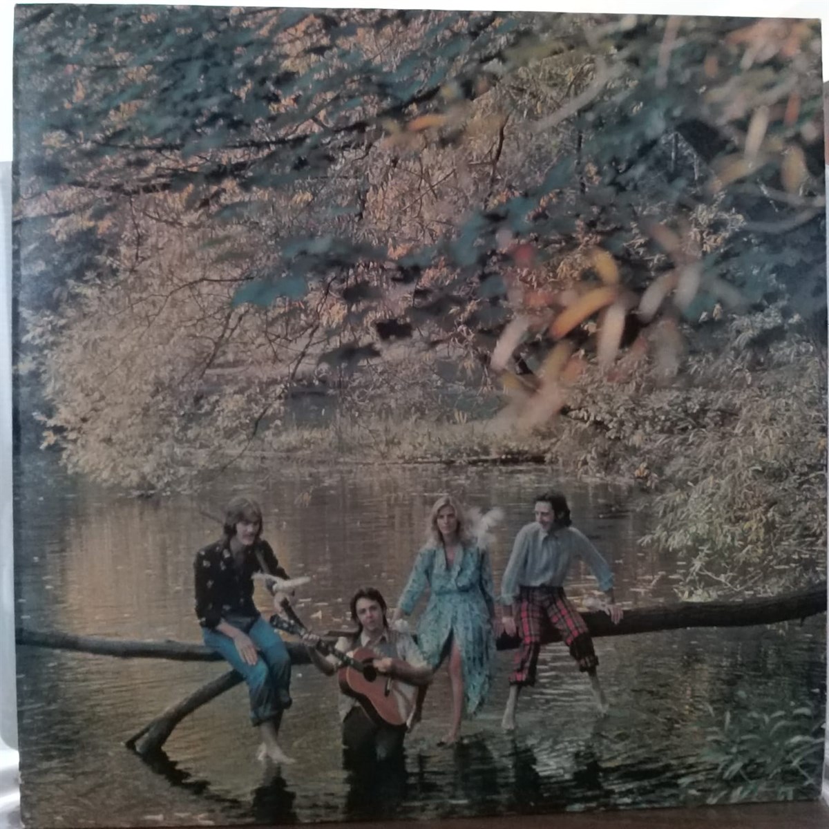WINGS - WILD LIFE 