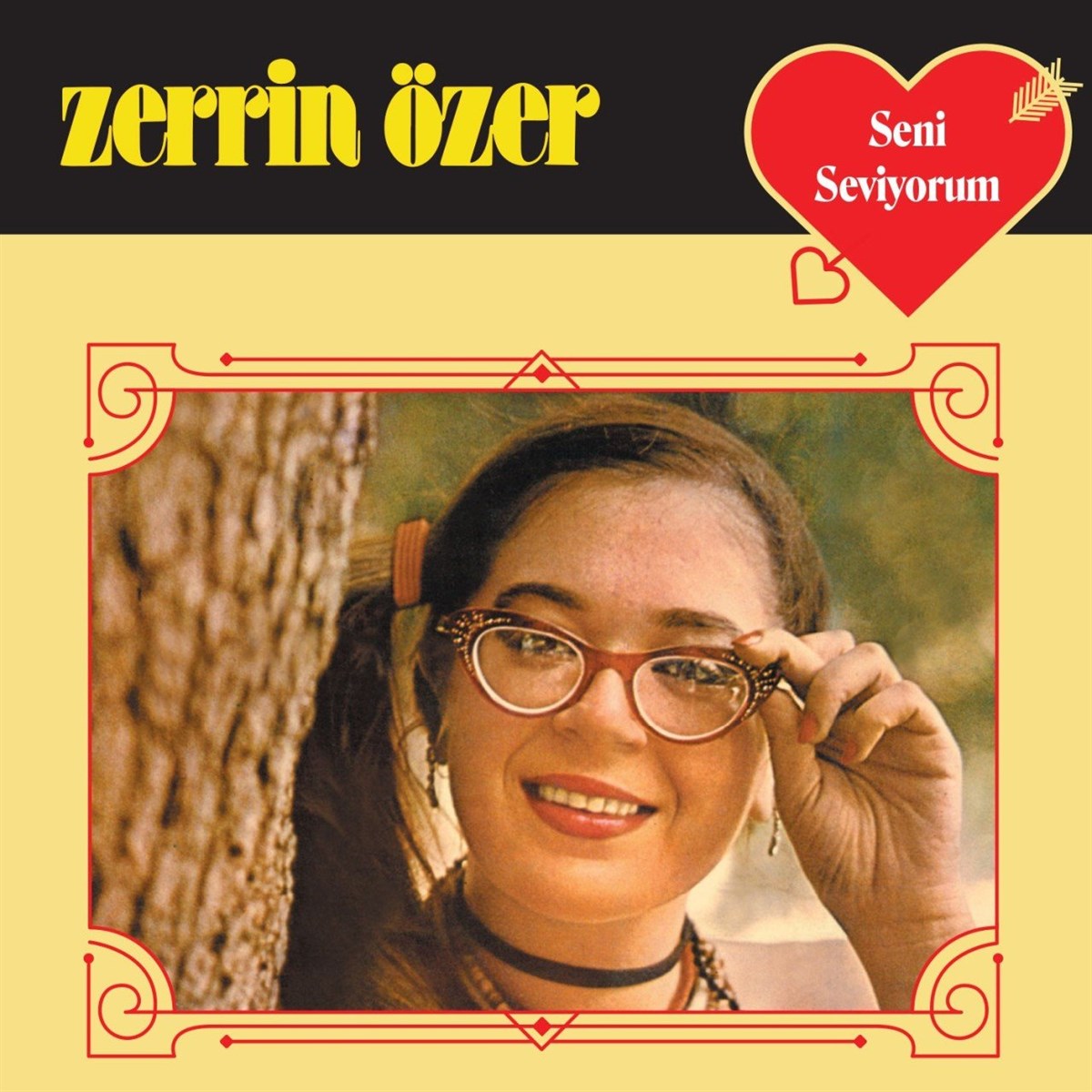 ZERRİN ÖZER - SENİ SEVİYORUM