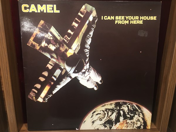 camel---i-can-see-your-house-