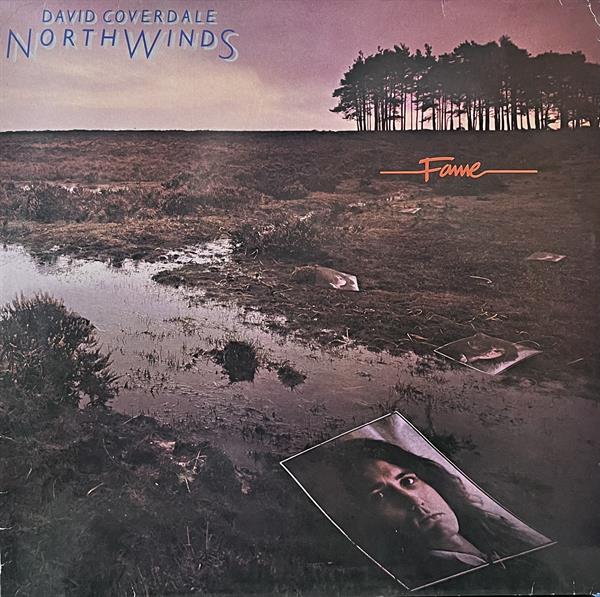 David Coverdale Northwinds CD 紙ジャケット DAVID COVERDALE - NORTHWINDS