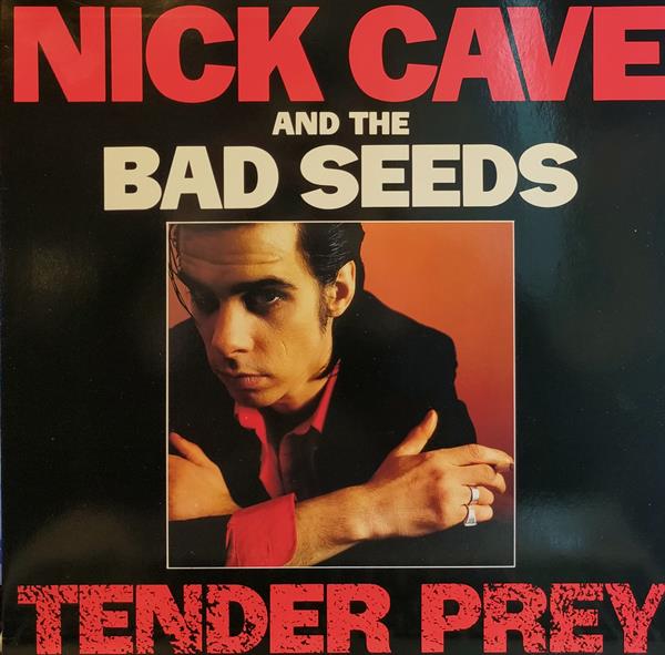 NICK CAVE AND THE BAD SEEDS - TENDER PREY