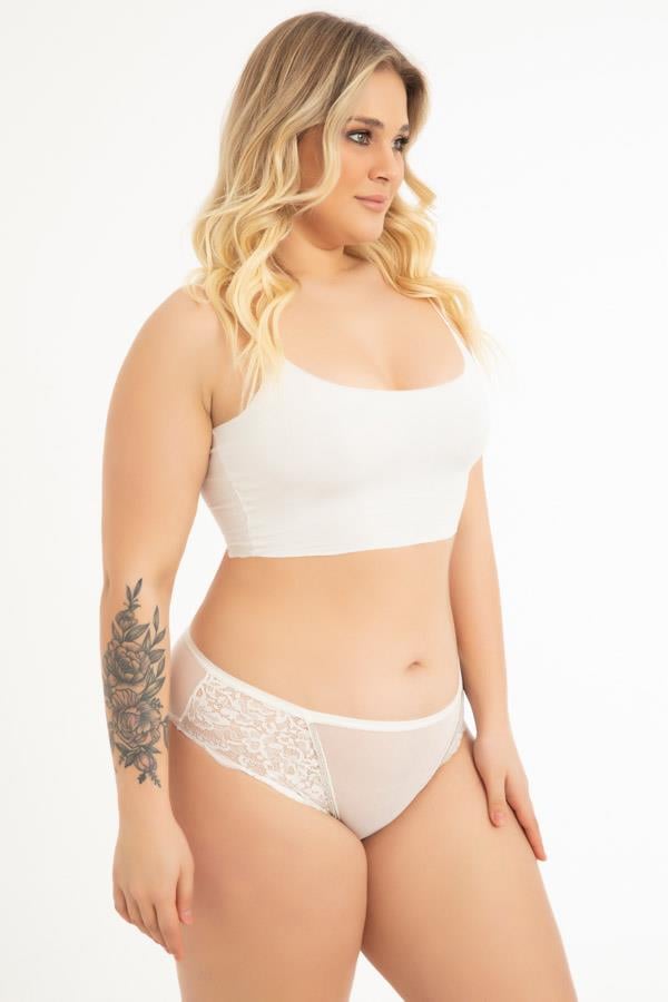 Transparan Tüllü Dantel Detaylı Büyük Beden Kadın Bikini Külot 3lü Paket-2