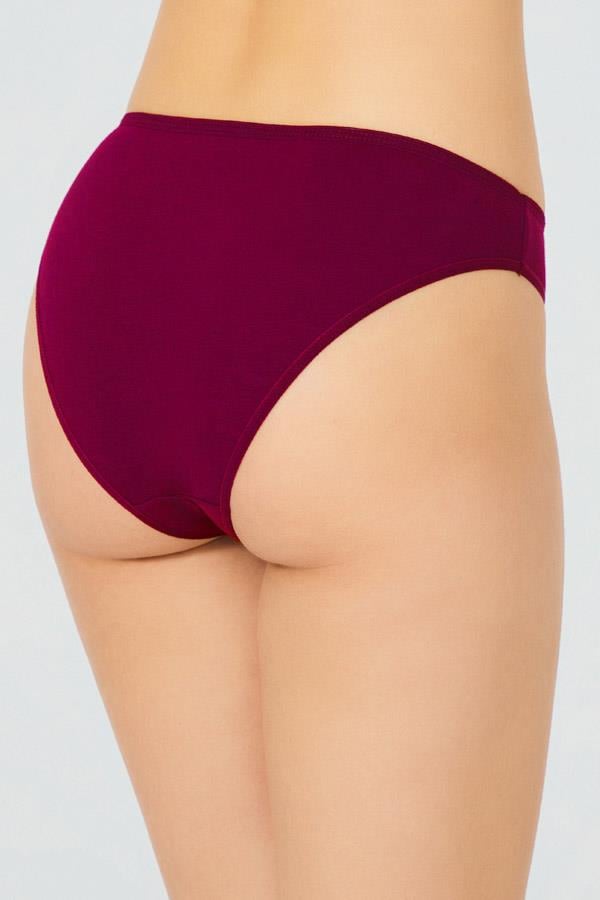 Pamuklu Kadın Bikini Külot 5li Paket-2