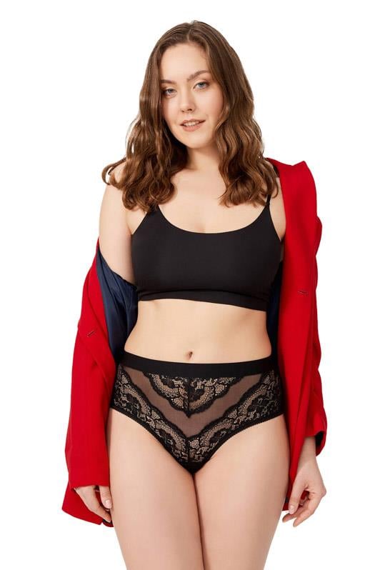 Dantelli Arkası Transparan Büyük Beden Bikini Külot 3lü Paket-3