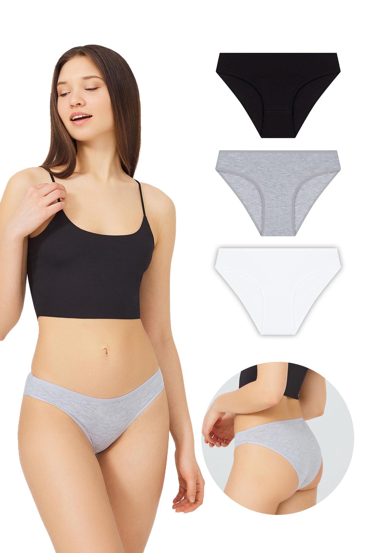 Basic Pamuklu Kadın Bikini Külot 3lü Paket - 4