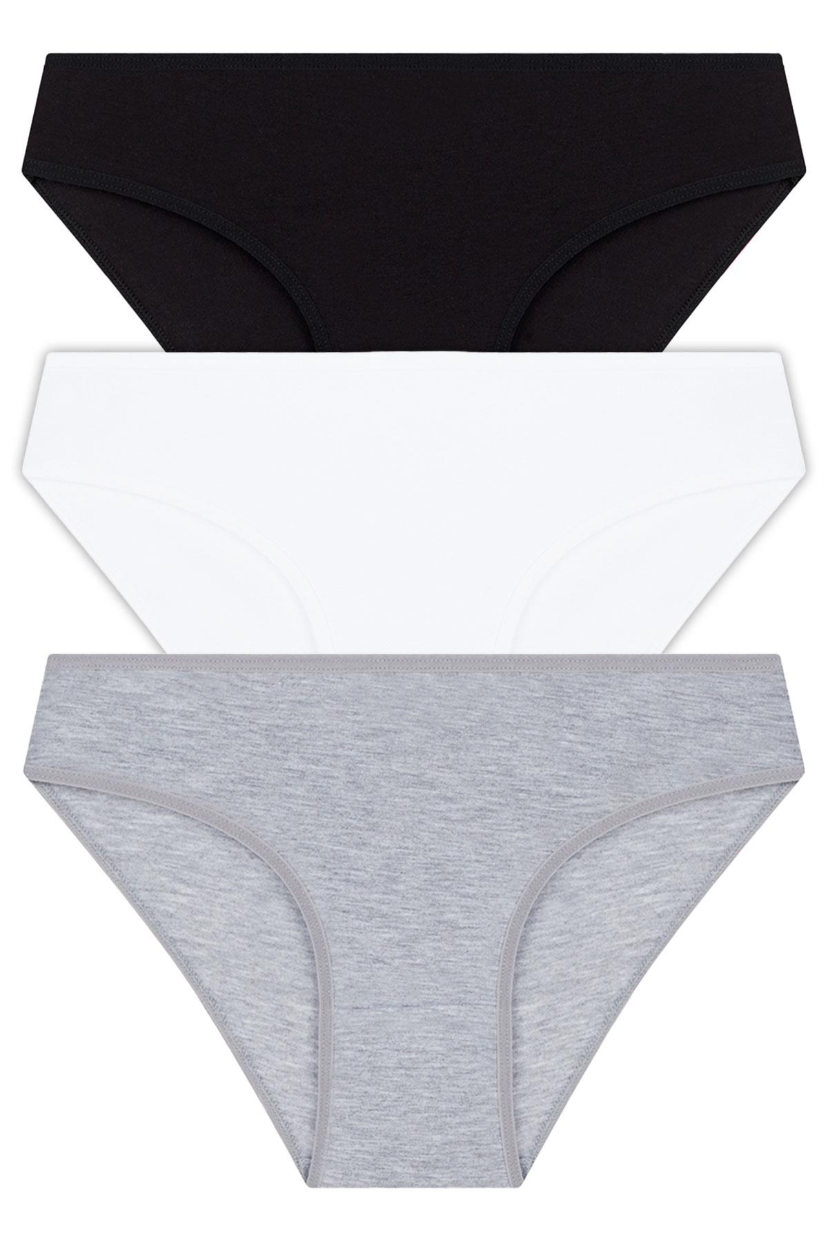 Basic Pamuklu Kadın Bikini Külot 3lü Paket - 4