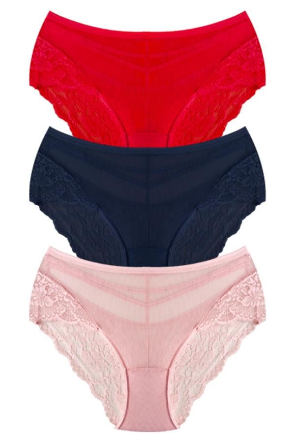 Transparan Tüllü Dantel ve Taş Detaylı Büyük Beden Kadın Bikini Külot 3lü Paket