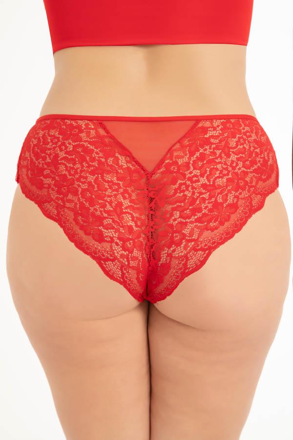 Transparan Tüllü Dantel ve Zincir Detaylı Büyük Beden Kadın Bikini Külot 3lü Paket