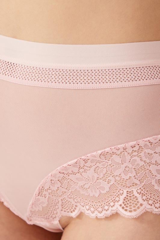 Dantel Detaylı Transparan Büyük Beden Bikini Külot 3lü Paket-2