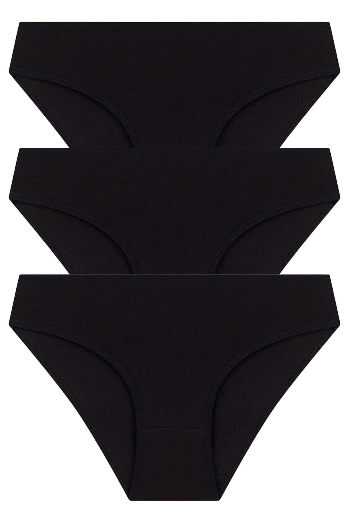 Basic Pamuklu Kadın Bikini Külot 3lü Paket - 7