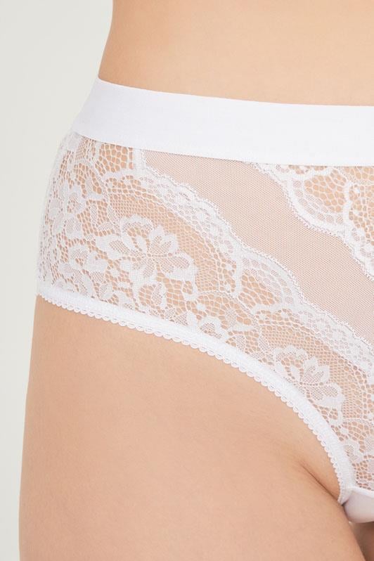 Dantelli Arkası Transparan Büyük Beden Bikini Külot 3lü Paket-2