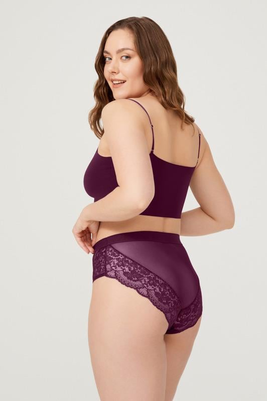 Dantelli Arkası Transparan Büyük Beden Bikini Külot 3lü Paket