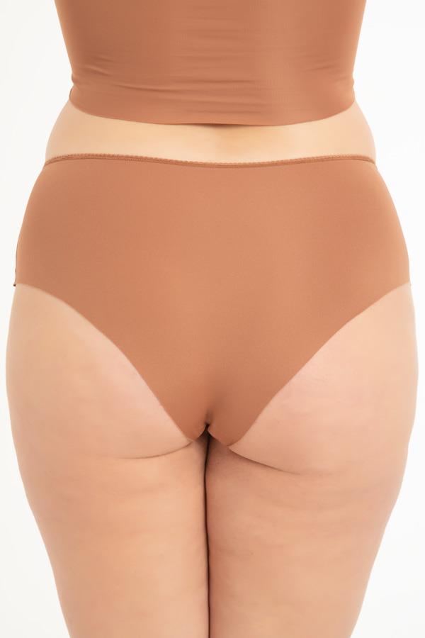 Dantel ve Taş Detaylı Lazer Kesim Büyük Beden Kadın Bikini Külot 3lü Paket